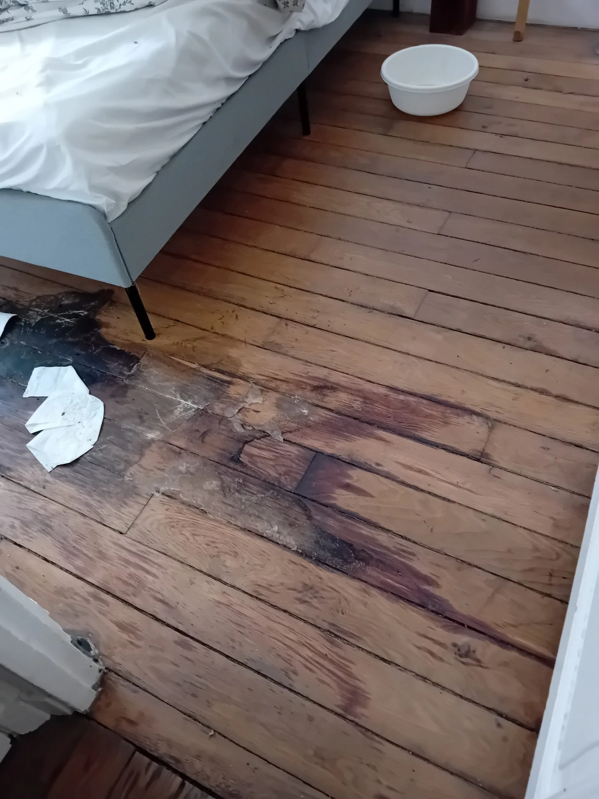 Comment traiter une chambre où la literie est collée au sol par les salissures : Guide pratique pour Versailles et ses environs Comment traiter une chambre où la literie est collée au sol par les salissures : Guide pratique pour Versailles et ses environs